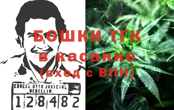 СК Михайлов
