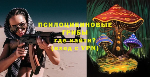 мескалин Медвежьегорск