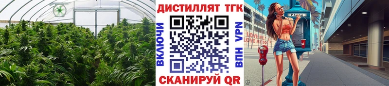 ТГК Wax  где продают   Нарьян-Мар 