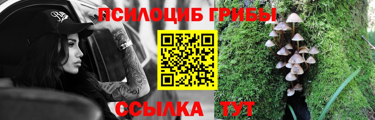 Псилоцибиновые грибы мухоморы Нарьян-Мар