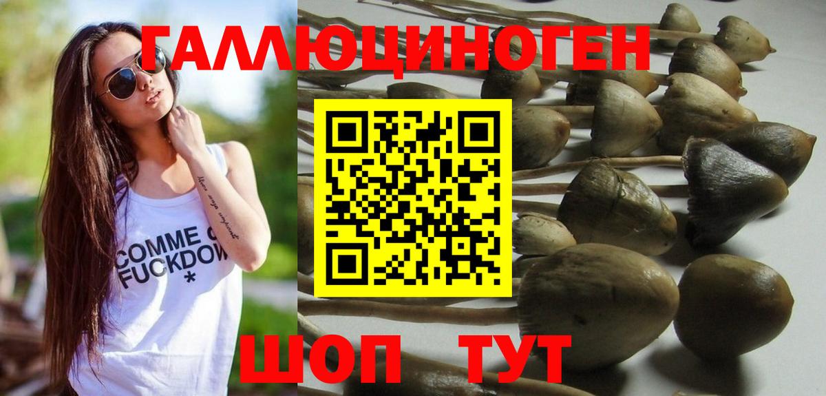 Галлюциногенные грибы мицелий Нарьян-Мар