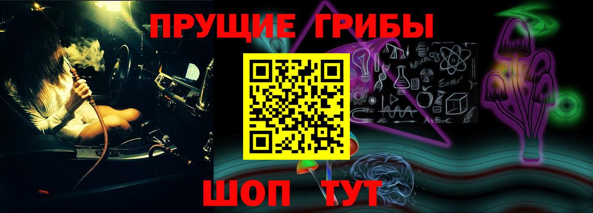 Галлюциногенные грибы Psilocybine cubensis  Нарьян-Мар 